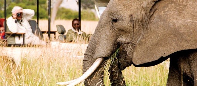 Kenya Safari // © 2012 Abercrombie & Kent F