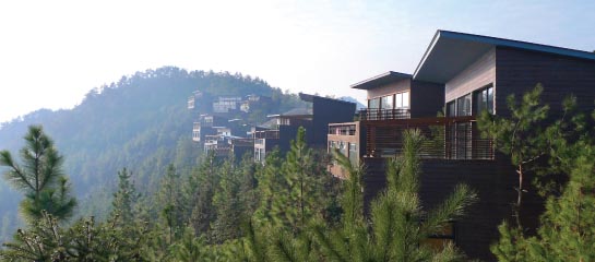 Clients can stay in treetop villas at the Naked Stables Private Reserve in Hangzhou. // © 2012 Naked Stables Private Reserve F