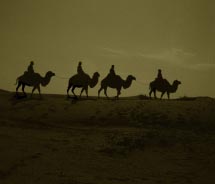 Camel riding in the Mongolian Desert // © 2011 Mark Edward Harris