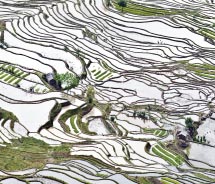 The rice terraces of Yuanyang provide intriguing visual images. // © 2012 Mark Edward Harris