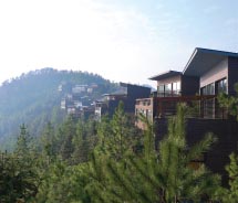 Clients can stay in treetop villas at the Naked Stables Private Reserve in Hangzhou. // © 2012 Naked Stables Private Reserve