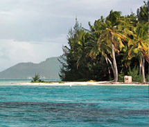 Diveasy’s eco-snorkel excursion takes place in a completely secluded lagoon filled with well-maintained coral teeming with marine life. // © 2012 Mindy Poder