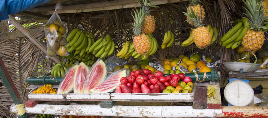 One Loves Rewards store awards travel agents for their bookings. // © 2013 Jamaica Tourist Board F