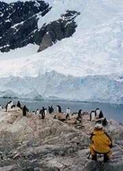 Penguins // © 2009 Pathfinder Linden 