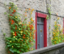 Orkney // © 2010 Susan B. Rheingold
