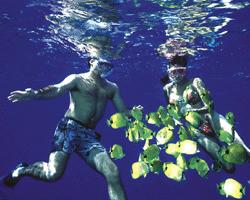 The waters off the Na Pali Coast are home to a variety of sea life // (c) 2007