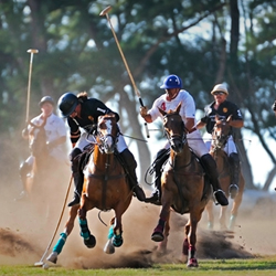 Visiting Oahu during polo season is one way to enjoy Hawaii spectator sports. // © 2013 Hawaii Polo Club 