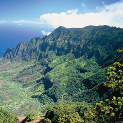 Enjoy the priceless view at Kalalau Lookout for free. // © 2013 HTA/Robert Coello
