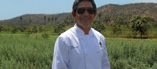 Chef Enrique Silva gathers ingredients at Huerta Los Tamarindos’ organic farm. // © 2011 Deborah Dimond F