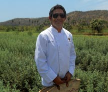 Chef Enrique Silva gathers ingredients at Huerta Los Tamarindos’ organic farm. // © 2011 Deborah Dimond
