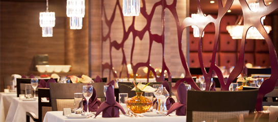 Amadeus Silver features opulent design elements. // © 2013 Amadeus Cruises F