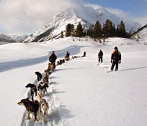 Mad Dogs & Englishmen Expeditions offer winter activities in Banff. // © 2011 Mad Dogs & Englishmen Expeditions