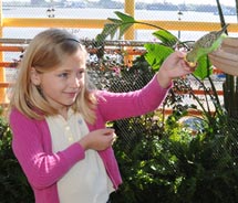 Parakeet Pointe at the Aquarium of the Americas provides visitors with a hands-on experience. // (c) 2011 Bernie Saul