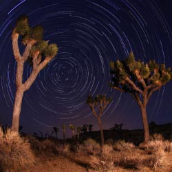 Stargazing in Joshua Tree National Park is just one option in California this summer. // © 2013 Thinkstock