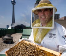 Honeybee apiary at the Fairmont Royal York // © 2011 Fairmont Hotels & Resorts