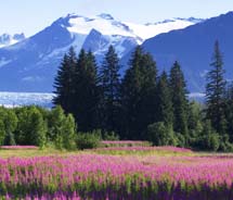 Rabbi Dov Gartenberg will create personalized experiences in Juneau for clients and their families // © 2012 John Hyde