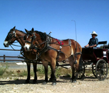 Jerome was once a boomtown, but now visitors come for its ghost town reputation. // © 2012 Jerome Chamber of Commerce