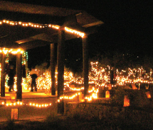 During Tohono Chul Park’s Holiday Nights event, the botanical garden will be lit up with more than 750,000 holiday lights. // © 2011 Tohono Chul Park