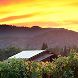 Yountville, in Napa Valley, is one of the locations for the Napa Valley Film Festival. // (c) 2013 Napa Valley Film Festival