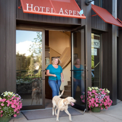The Hotel Aspen is pet-friendly. // © 2013 Hotel Aspen