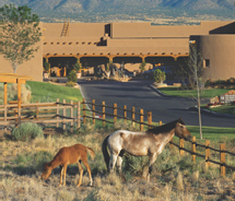 The Tamaya Horse Rehabilitation Meeting Experience is a new offer for groups at the Hyatt Regency Tamaya. // (c) 2012 Hyatt Regency Tamaya Resort & Spa