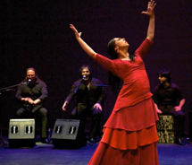 Festival Flamenco is the largest exposition of flamenco dance and music in the U.S. // © 2012 National Institute of Flamenco
