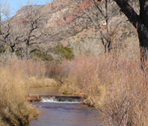 Hiking trails are accessible all year in Los Alamos. // © 2012 Sharon Phelan Evans