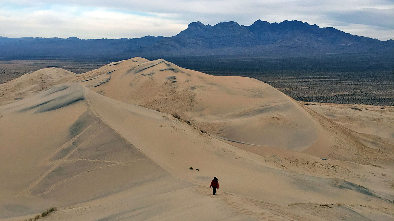 Been There Do This Kelso Dunes In Mojave National Preserve been-there-do-this-kelso-dunes-in-mojave-national-preserve